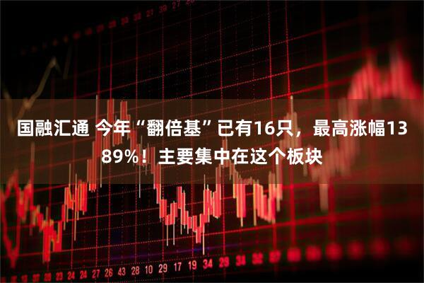 国融汇通 今年“翻倍基”已有16只，最高涨幅1389%！主要集中在这个板块