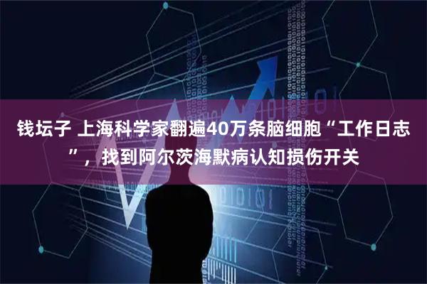 钱坛子 上海科学家翻遍40万条脑细胞“工作日志”，找到阿尔茨海默病认知损伤开关