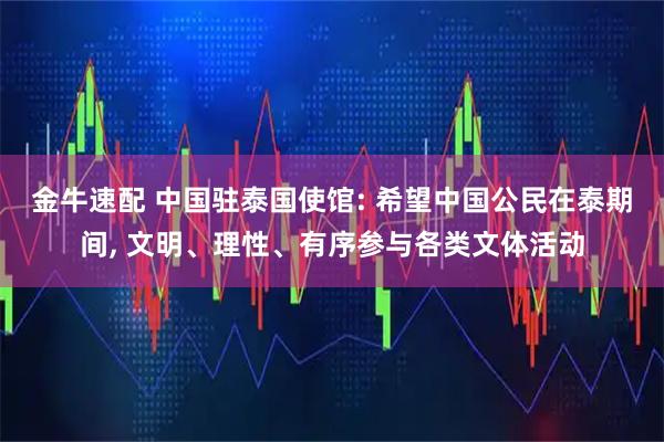 金牛速配 中国驻泰国使馆: 希望中国公民在泰期间, 文明、理性、有序参与各类文体活动